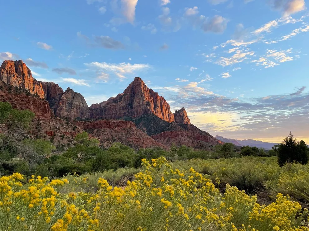 Sandstone mountain and autumn foliage in Zion National Park